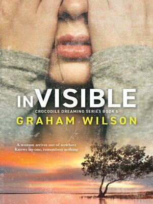 cover image of inVisible